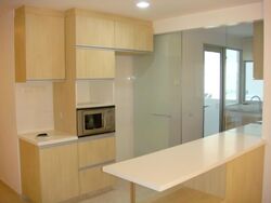 The Parc Condominium (D5), Condominium #547372911